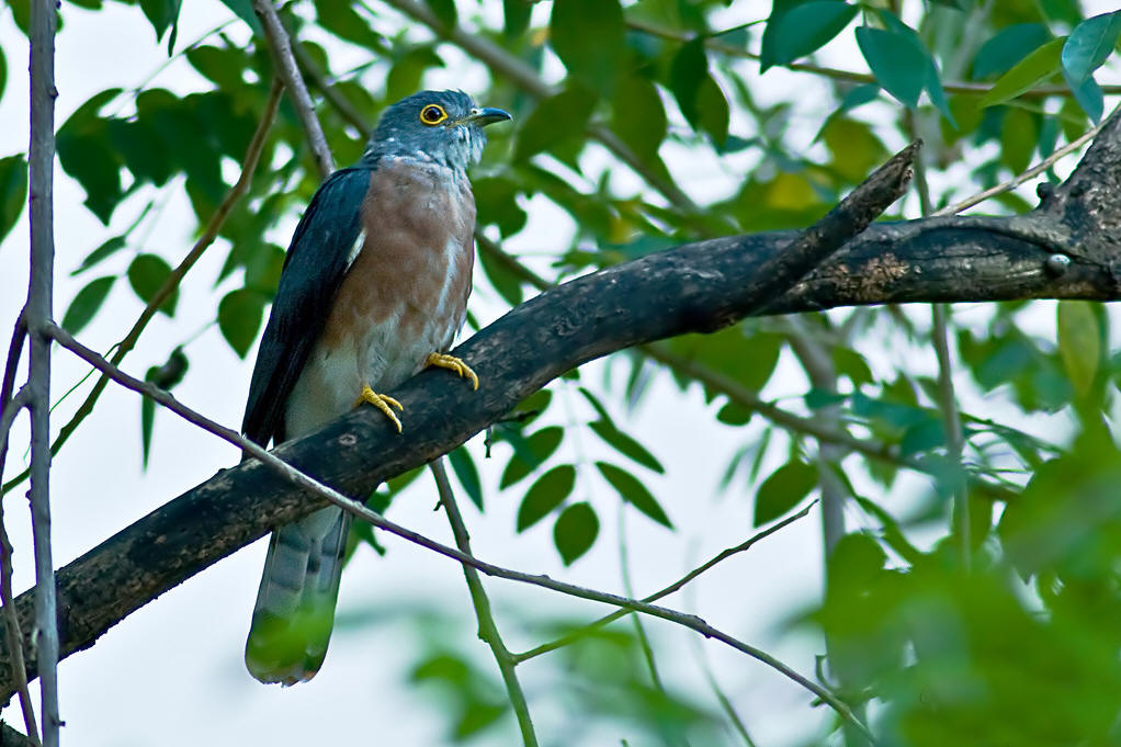 抖音上的加油的句子
