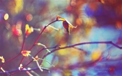 不去计较的说说 不计较的经典句子