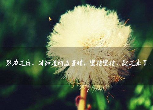 高三班主任毕业正能量寄语