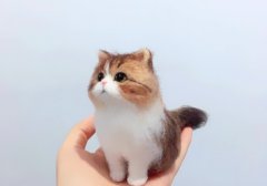 适合发朋友圈的爱情短句 适合发朋友圈的爱情话