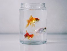 在背后默默支持的句子