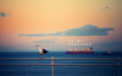 关于责任创业的励志名言