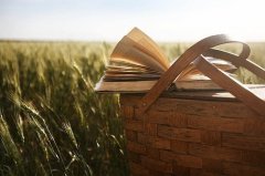 星期一上班了努力工作祝福语