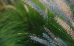 背叛友情唯美伤感句子