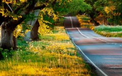 交朋友的句子怎么写