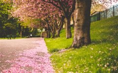 一些深入人心的一句话