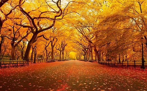 又短又简单的好词好句