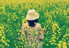 关于积极向上执着的唯美句子