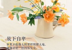 关于努力奋斗文艺的句子