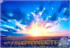 携手奋斗的励志句子 励志句子长句奋斗