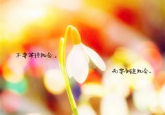 扎心又搞笑哲理句子简短精辟