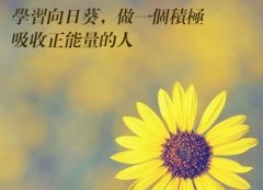 小学生励志哲理句子摘抄简短