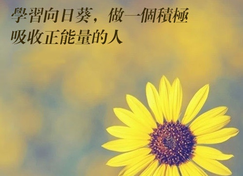 小学生励志哲理句子摘抄简短