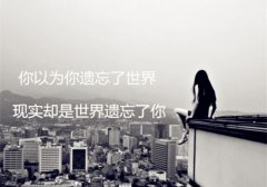 瞬间让人泪崩的一句话