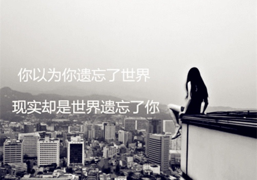 瞬间让人泪崩的一句话