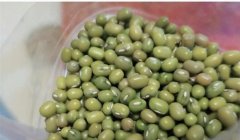 描写绿豆外形优美的句子