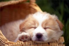 骂嘴贱的人的经典句子