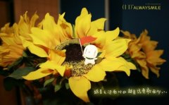 有关适合谈恋爱发的说说