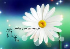 描写茉莉的唯美句子