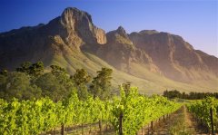 给2020年的自己加油的说说 为2020年加油哦美好句子