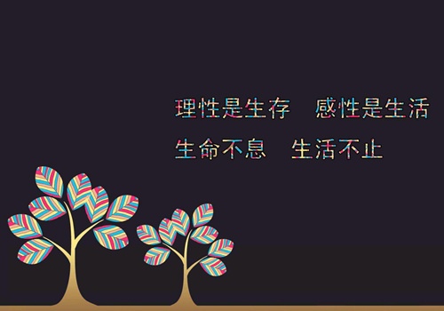 努力变得优秀励志的句子