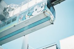 2020调皮又可爱的新年祝福语