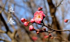 2020立春节气祝福语 最美的立春祝福语说说