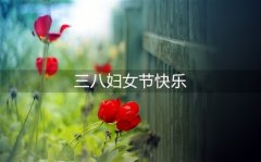 2020三八妇女节创意祝福语 三八妇女节快乐朋友圈祝福语