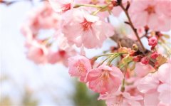 三月请对我好一点的句子