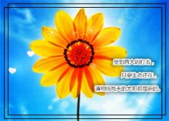 关于执着努力的句子 信念和执着的唯美句子