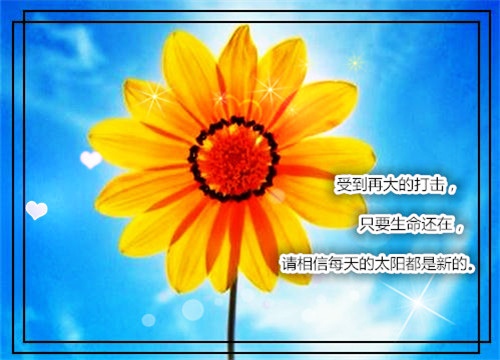 关于执着努力的句子 信念和执着的唯美句子