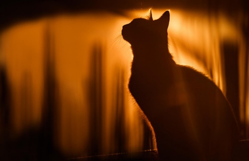 关于暗恋一个人的说说大全