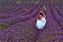 最让女生心动的一句告白情话