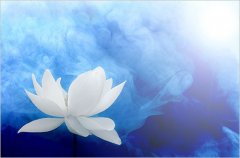 红楼梦中富含人生哲理的句子