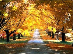 2020五四青年节短信祝福语大全