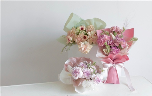 描写康乃馨的好词好句 赞美康乃馨的句子