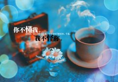 适合朋友圈沙雕日常分享的句子