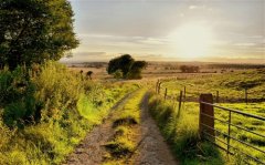 适合摘抄下来的优美句子 优美的值得摘抄的句子