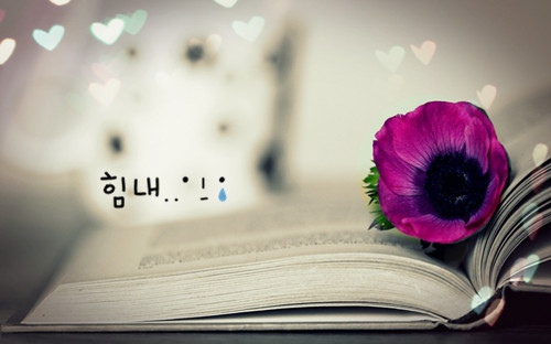 优美的值得摘抄的句子