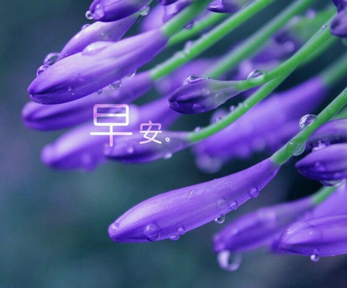一句话早安正能量语录激励人心