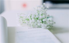 简短文艺小清新句子