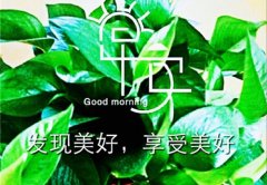 早上起床鼓励自己的经典句子