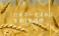那些看一眼就惊艳的小句子