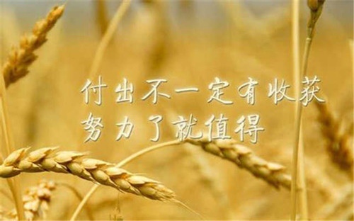 那些看一眼就惊艳的小句子