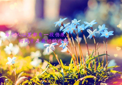 朋友圈励志的句子致自己简短