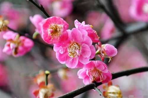 尊重每一个人的经典语录