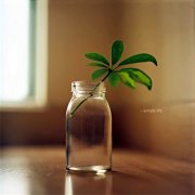 写到心坎里的经典语录