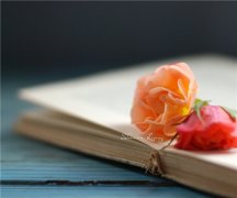 唯美的励志净化心灵的句子