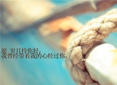 心中酸楚无奈的句子