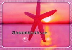 伤心绝望很扎心的句子